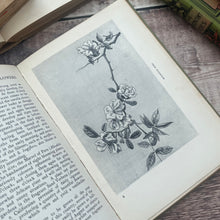 Load image into Gallery viewer, 1901 The Book of Old Fashioned Flowers by Harry Roberts Volume IV
