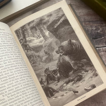 Load image into Gallery viewer, Stories of Wild Beasts by Ascott R Hope; Victorian Illustrated Book of Animals
