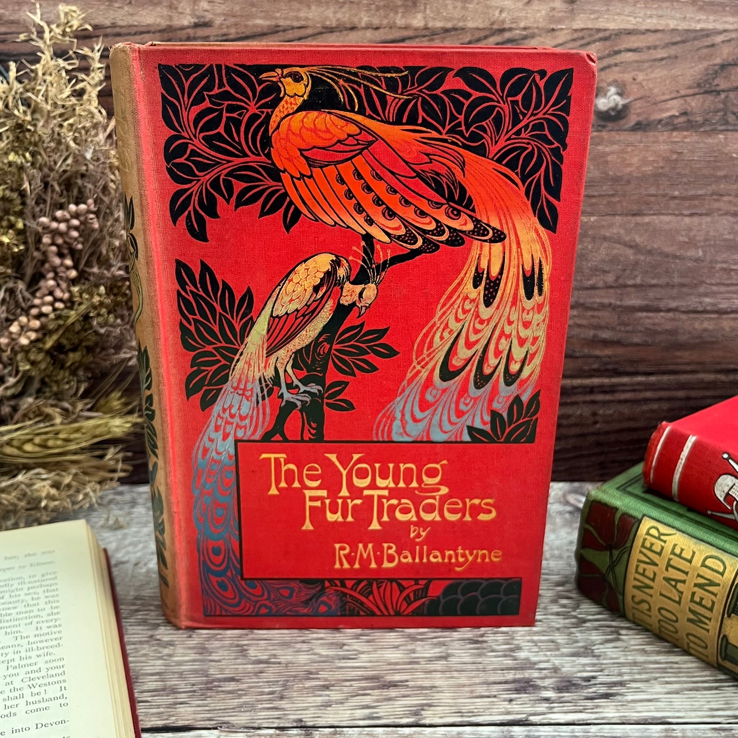 The Young Fur Traders by R M Ballantyne Edwardian Book with Peacock Binding