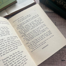 Load image into Gallery viewer, First Edition RARE Princes and Fairies by Stella Mead Vintage Illustrated Fairy Book
