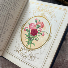 Load image into Gallery viewer, 1857 The Language of Flowers; An Alphabet of Floral Emblems; Illuminated Colour Plates
