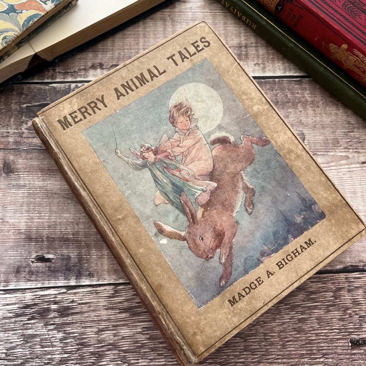 1913 Merry Animal Tales by Madge A Bigham Illustrated by Margaret Tarrant