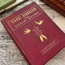 Load image into Gallery viewer, The Birds and Their Story by R.B.Lodge A Book for Young Folk Edwardian Illustrated
