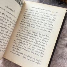 Load image into Gallery viewer, 1874 Hummingbirds by Mary and Elizabeth Kirby; Scarce FIRST Edition Victorian Book
