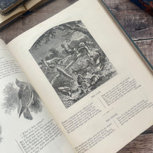 Load image into Gallery viewer, 1885 Illustrated Poems and Songs for Young People; Victorian Children's Book
