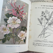 Load image into Gallery viewer, Flowers of the Farm by Arthur O Cooke; The Countryside Series Illustrated
