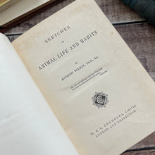 Load image into Gallery viewer, Sketches of Animal Life and Habits by Andrew Wilson; Victorian Illustrated Nature Book
