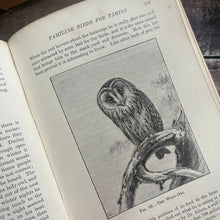 Load image into Gallery viewer, 1895 Country Pastimes for Boys Illustrated Nature Book
