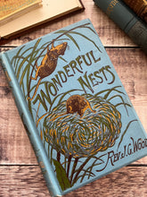 Load image into Gallery viewer, 1892 Wonderful Nests by Rev J.G. Wood; Late Victorian Natural History Book
