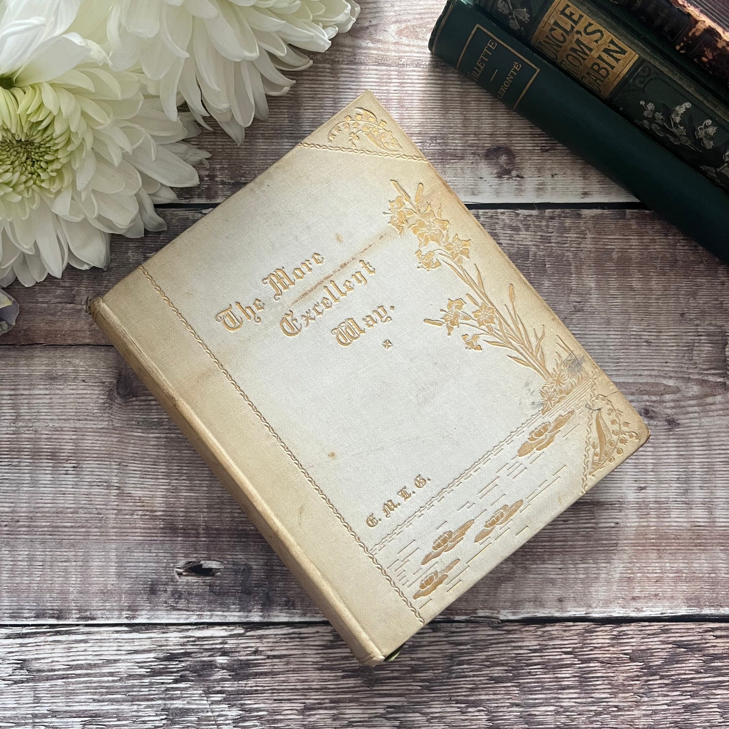 The More Excellent Way Words of the Wise A Sequence of Meditations Antique Book