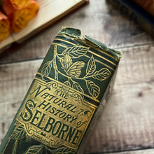 Load image into Gallery viewer, 1875 The Natural History and Antiquities of Selborne by Gilbert White Beautiful Binding
