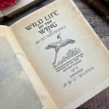 Load image into Gallery viewer, 1913 Wild Life on the Wing by M.D.Haviland; Illustrated Antique Bird Book
