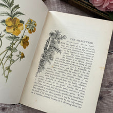 Load image into Gallery viewer, Familiar Wild Flowers First Series by Edward Hulme; Half Leather Illustrated Book
