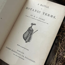Load image into Gallery viewer, 1862 Manual of Botanic Terms by M C Cooke Victorian 19th Century Book
