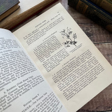 Load image into Gallery viewer, Flowers of the Field by Rev CA Johns Eleventh Impression Antique Floral Book

