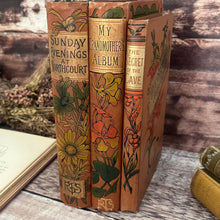 Load image into Gallery viewer, Antique Book Stack with Three Beautiful Floral Bindings
