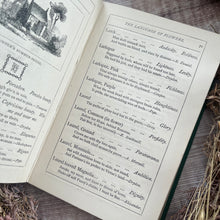 Load image into Gallery viewer, The Language of Flowers; Late Victorian Illustrated Book
