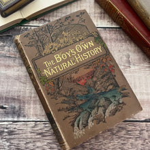 Load image into Gallery viewer, The Boy's Own Natural History Beautiful Cloth Binding Late Victorian Book
