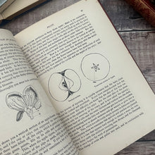 Load image into Gallery viewer, The Boys' and Girls' Book of Science Illustrated Victorian Book
