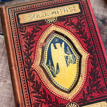 Load image into Gallery viewer, Oliver Goldsmith's Poetical and Prose Works; Victorian Cloth Binding
