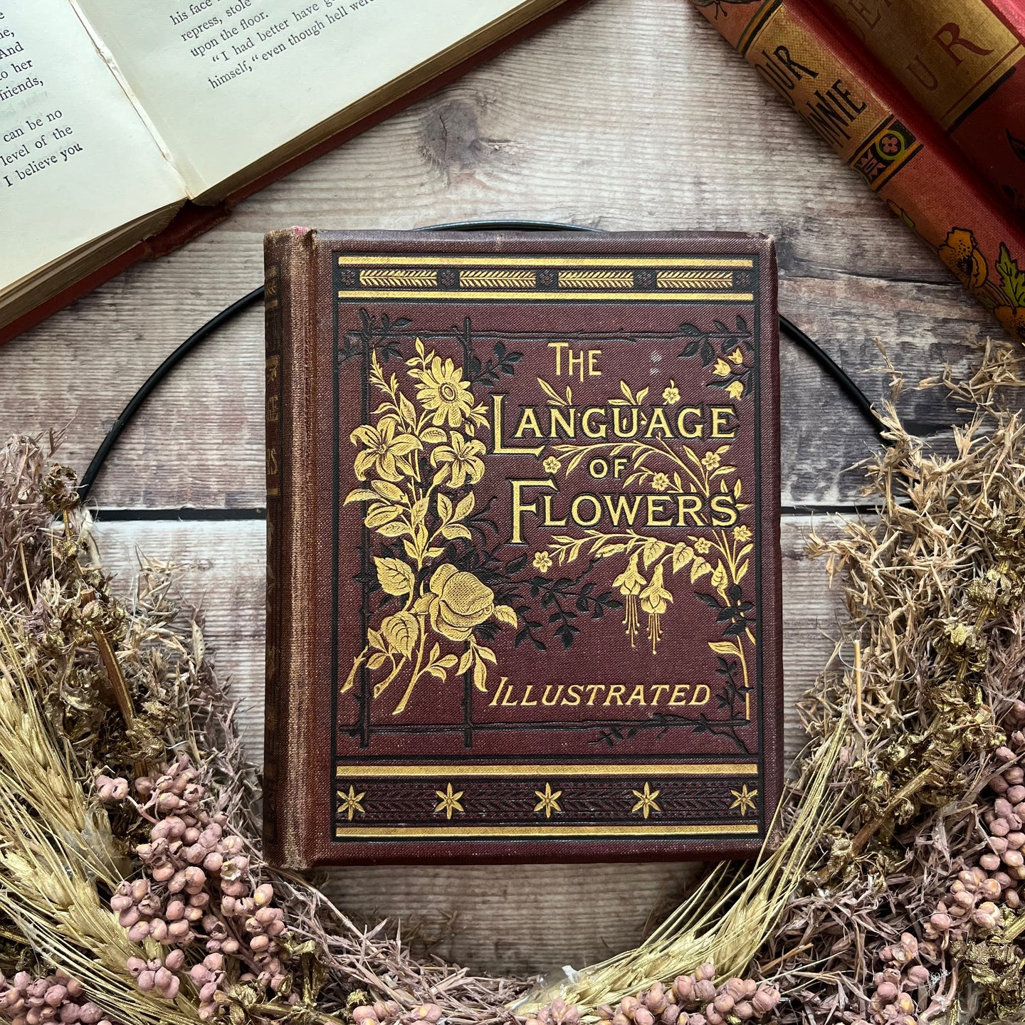 The Language and Poetry Of Flowers Antique Collectable Late Victorian Book Colour Plates