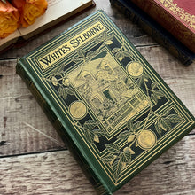 Load image into Gallery viewer, 1875 The Natural History and Antiquities of Selborne by Gilbert White Beautiful Binding
