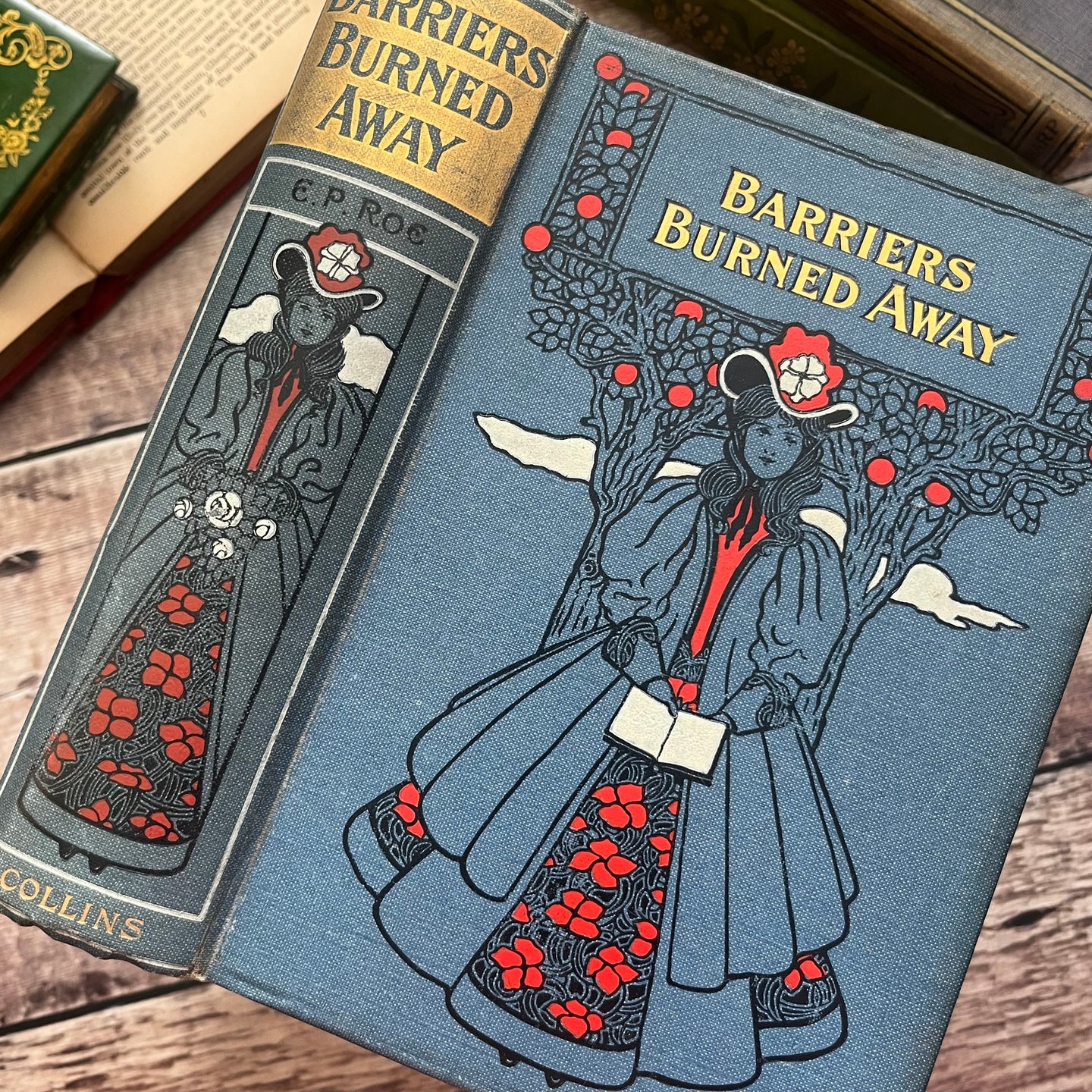 Barriers Burned Away by E P Roe Beautiful Binding of a Reading Lady Book