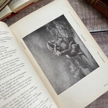 Load image into Gallery viewer, Quarter Leather French Book of Poetry by Victor Hugo; Lovely Antique Book
