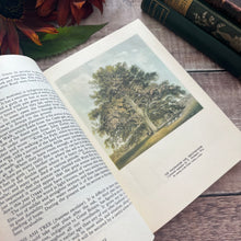 Load image into Gallery viewer, 1946 Nature in Britain With Dust Jacket Hardback Vintage Book Illustrated
