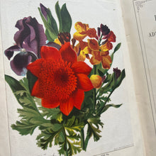 Load image into Gallery viewer, The Little Flower Seekers by Rosa Mulholland Beautiful Victorian Children's Book
