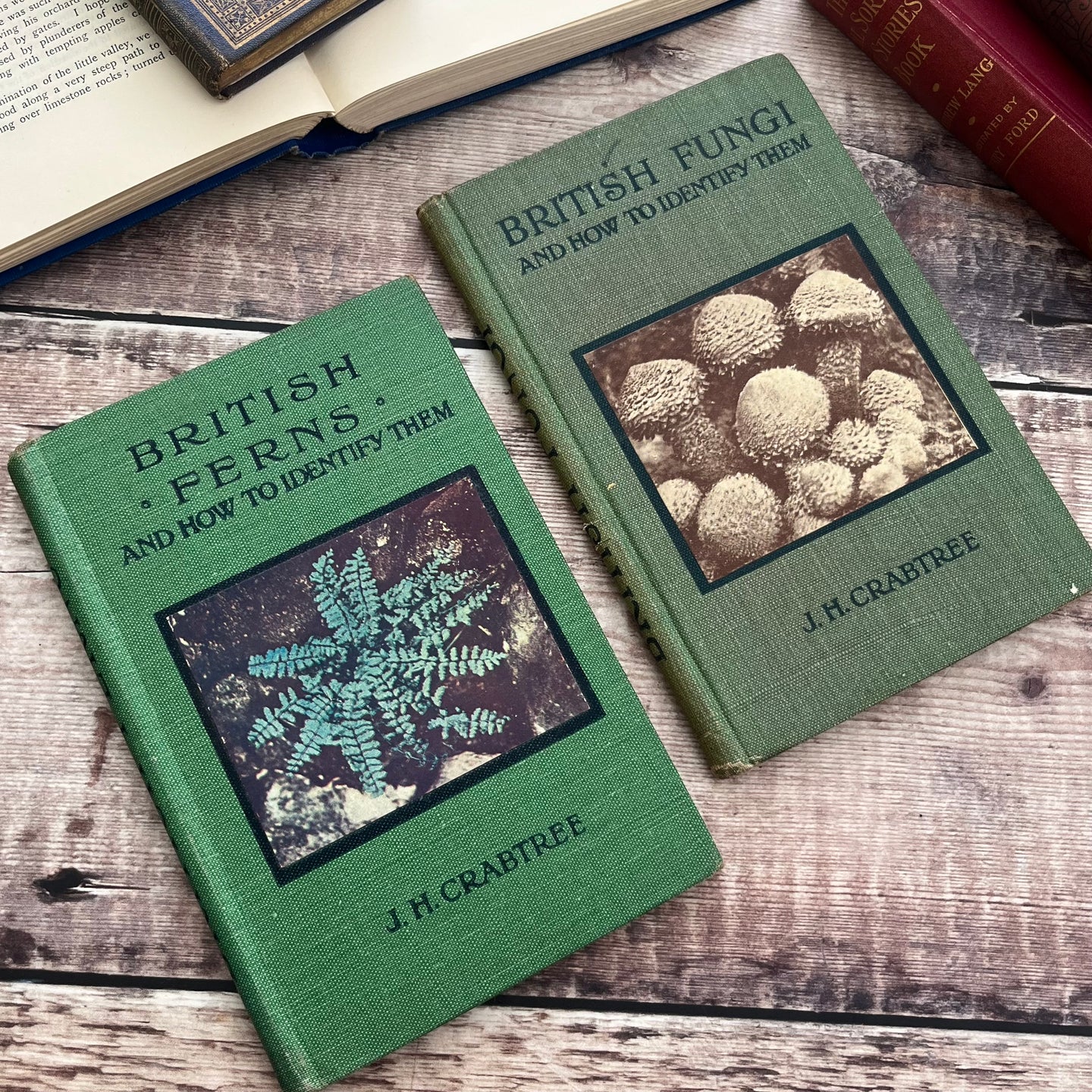 Two Volumes of Small Vintage Nature Books...British Fungi and Ferns