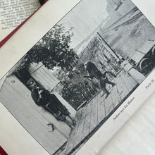Load image into Gallery viewer, Four Hundred Animal Stories; Late Victorian Illustrated Book
