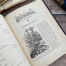 Load image into Gallery viewer, 1862 Piccalilli An Illustrated Mixture by Gilbert Percy; Stunning Victorian Illustrated Book
