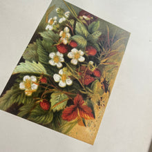 Load image into Gallery viewer, Rare but WORN edition of Beauty of Common Things Ornate Victorian Book
