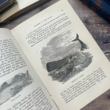 Load image into Gallery viewer, The Wonders of the World in Earth, Sea and Sky by Uncle John; Victorian Illustrated Book
