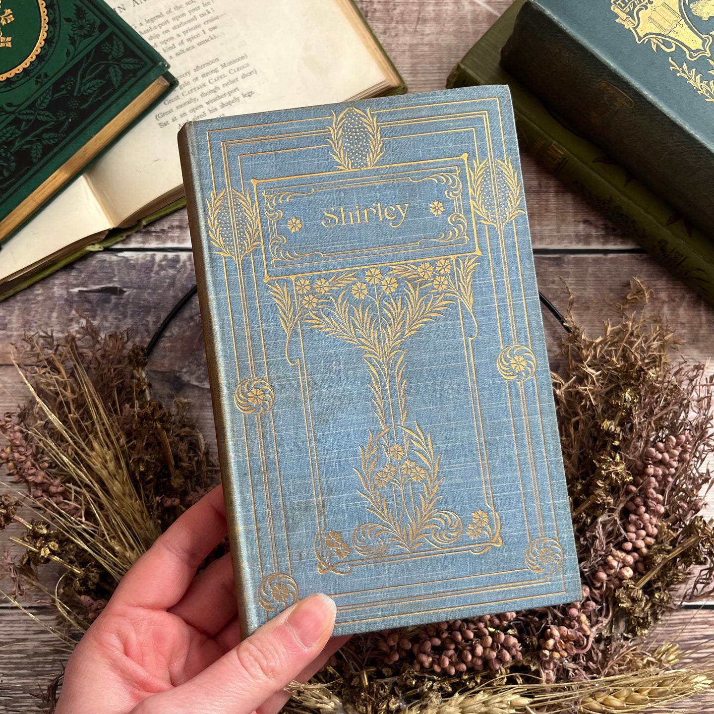 Shirley by Charlotte Bronte Rare Binding Illustrated Colour Plates Antique Book