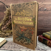 Load image into Gallery viewer, The Boy's Own Natural History Beautiful Cloth Binding Late Victorian Book
