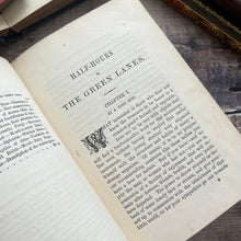 Load image into Gallery viewer, 1879 Half Hours in the Green Lanes by J.E.Taylor; Victorian Nature Book
