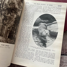 Load image into Gallery viewer, The Pageant of Nature Antique Illustrated Three Volume Collection
