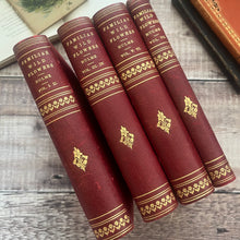 Load image into Gallery viewer, Familiar Wild Flowers Seven Volumes Bound as Four; Quarter Leather Illustrated Set
