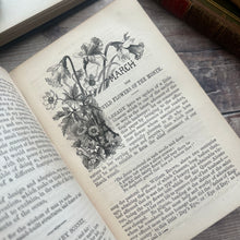 Load image into Gallery viewer, The Wild Flowers, Birds, Insects of The Months; 19th Century Illustrated Book
