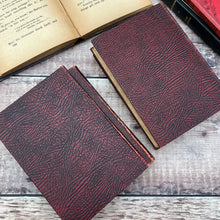 Load image into Gallery viewer, Set of Shown to the Children Series Antique Books
