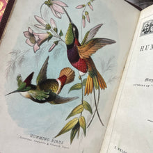Load image into Gallery viewer, 1874 Hummingbirds by Mary and Elizabeth Kirby; Scarce FIRST Edition Victorian Book
