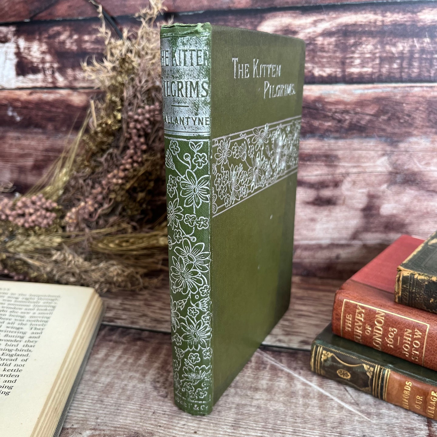 The Kitten Pilgrims by RM Ballantyne Beautiful Antique Book with Floral Gilt
