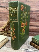 Load image into Gallery viewer, 1907 Flowers of the Field by Rev CA Johns; Antique Floral Binding Book
