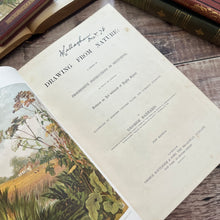 Load image into Gallery viewer, 1877 Drawings from Nature by Barnard Progressive Instructions in Sketching Victorian Book
