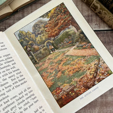 Load image into Gallery viewer, In The Garden; The Rambler Nature Books Beautiful Floral Binding
