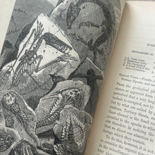 Load image into Gallery viewer, 1868 The Seaside Naturalist by Rev Robert Fraser; Mid Victorian Illustrated Natural History Book
