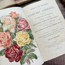 Load image into Gallery viewer, 1897 Beeton's New Dictionary of Every-day Gardening; Victorian Illustrated Book

