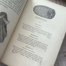 Load image into Gallery viewer, 1868 The Seaside Naturalist by Rev Robert Fraser; Mid Victorian Illustrated Natural History Book
